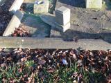 image of grave number 365045
